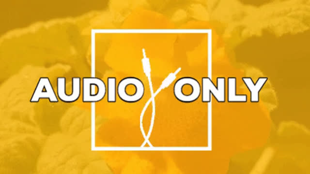 Audio 1 - Laurent Le Cocu (6:40 Min)